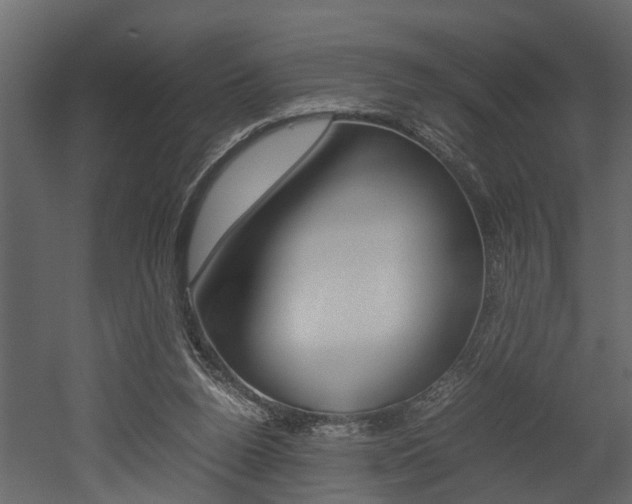 X0000052970160200507080931