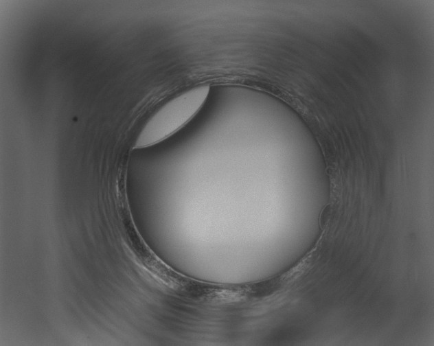 X0000052970166200507080931