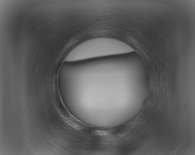 X0000052970167200507080931