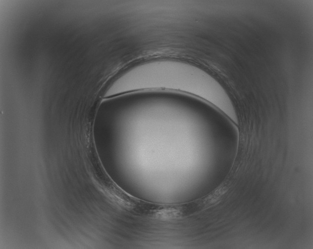 X0000052970168200507080931