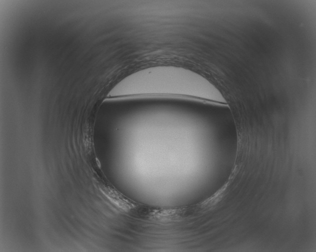 X0000052970186200507080931