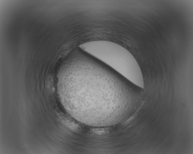 X0000052970187200507080931