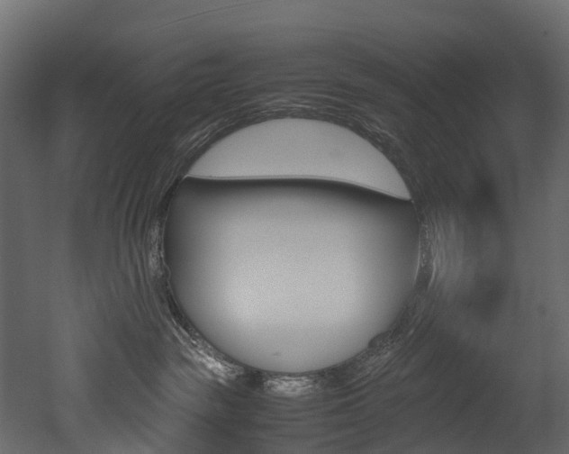 X0000052970189200507080931