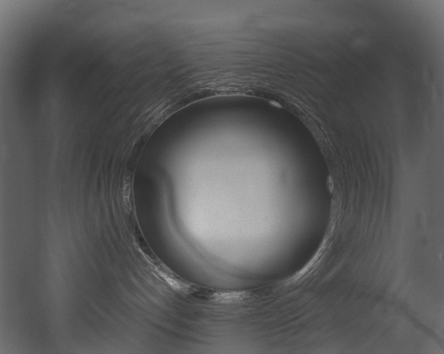 X0000052970192200507080931