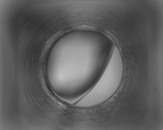 X0000052970193200507080931
