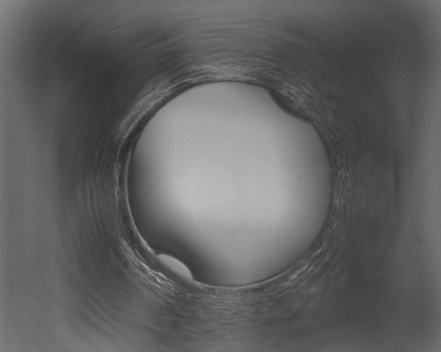 X0000052970194200507080931