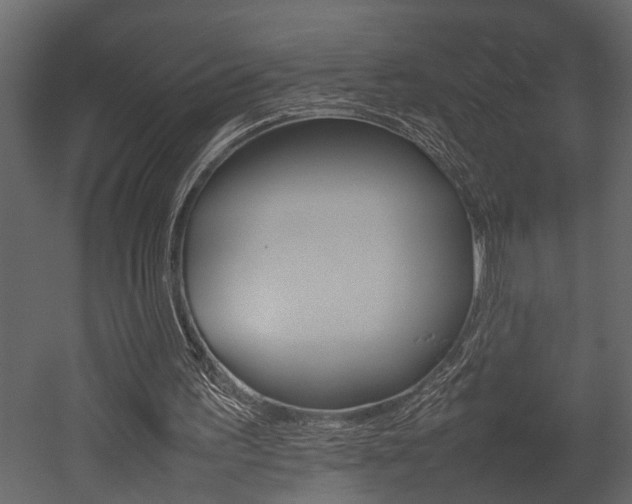 X0000052970195200507080931