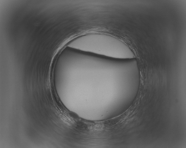 X0000052970196200507080931