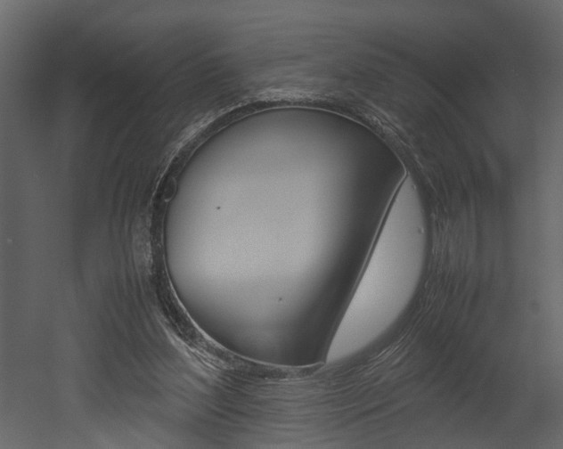 X0000052970204200507080930