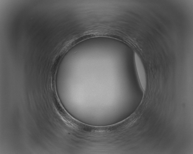 X0000052970205200507080930