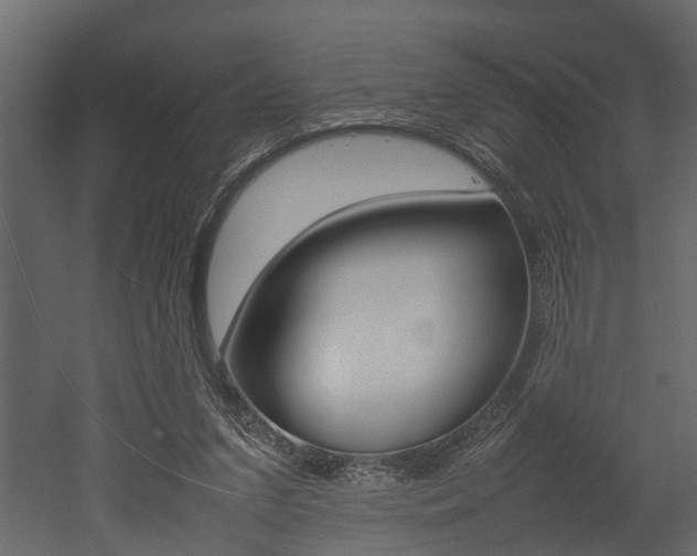 X0000052970207200507080930
