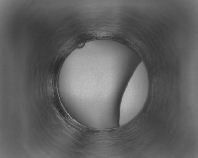 X0000052970210200507080930