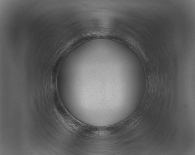 X0000052970212200507080930