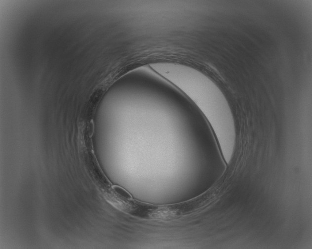 X0000052970217200507080930