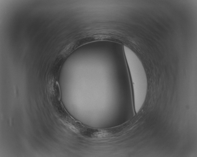 X0000052970219200507080930