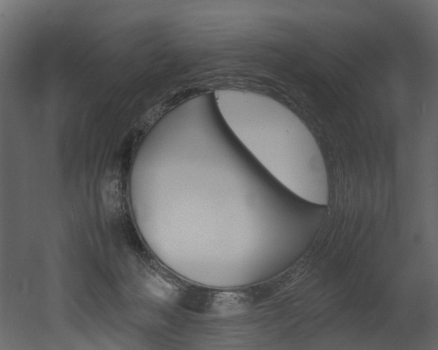 X0000052970222200507080930