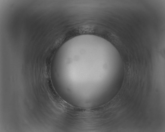 X0000052970224200507080930