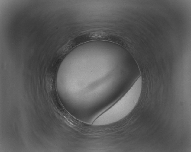 X0000052970227200507080930