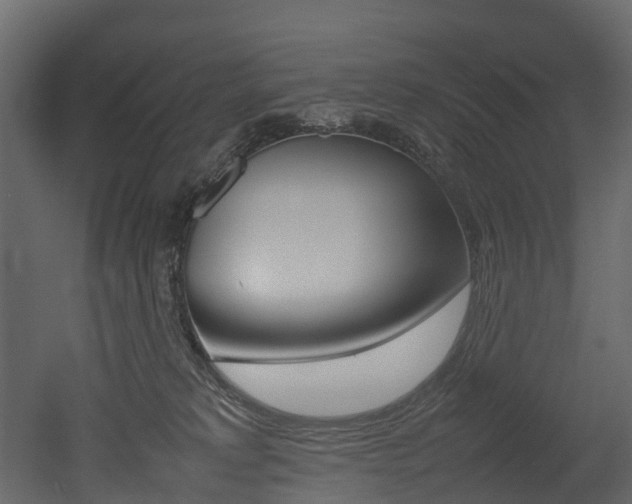X0000052970229200507080930