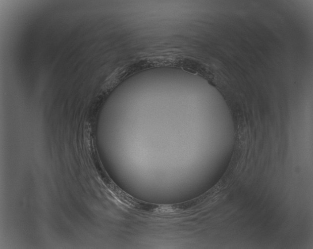 X0000052970231200507080930