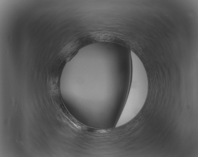 X0000052970239200507080930
