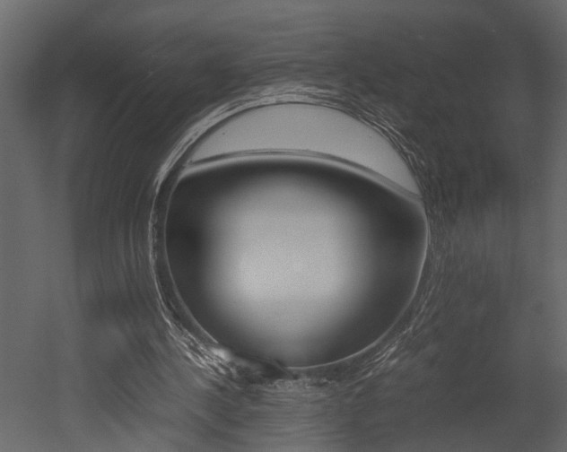X0000052970244200507080929