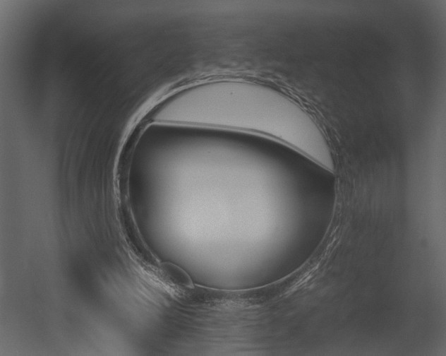 X0000052970246200507080929