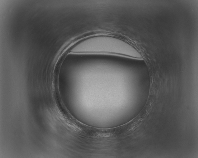 X0000052970247200507080929