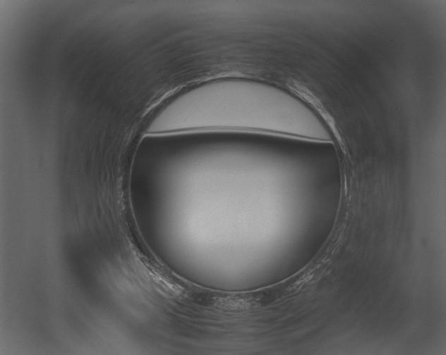 X0000052970249200507080929