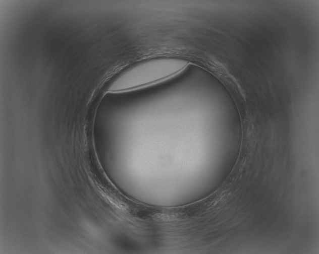 X0000052970250200507080929