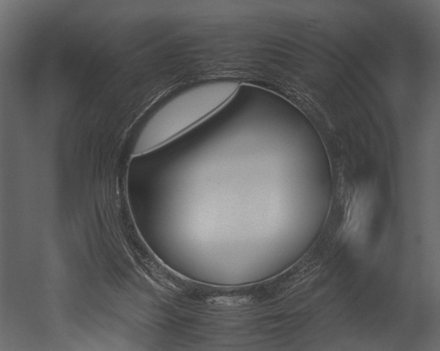 X0000052970251200507080929