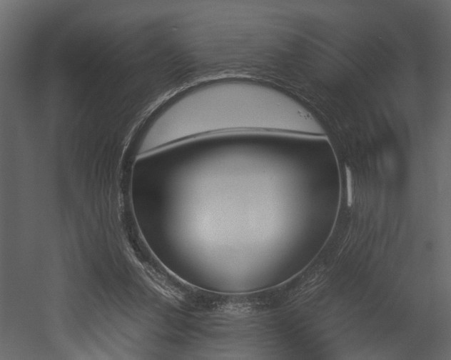 X0000052970252200507080929