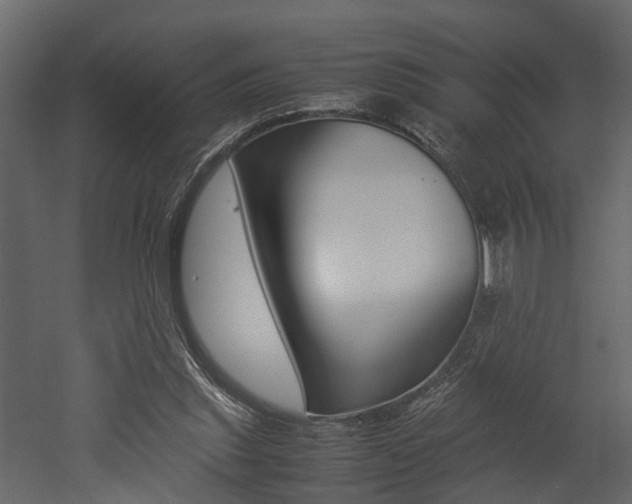X0000052970253200507080929