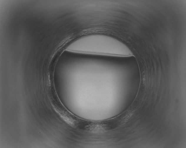X0000052970254200507080929