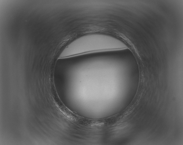 X0000052970257200507080929