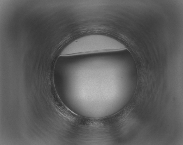 X0000052970258200507080929