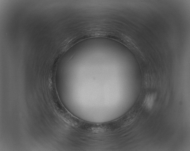 X0000052970259200507080929