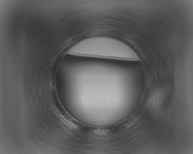 X0000052970261200507080929