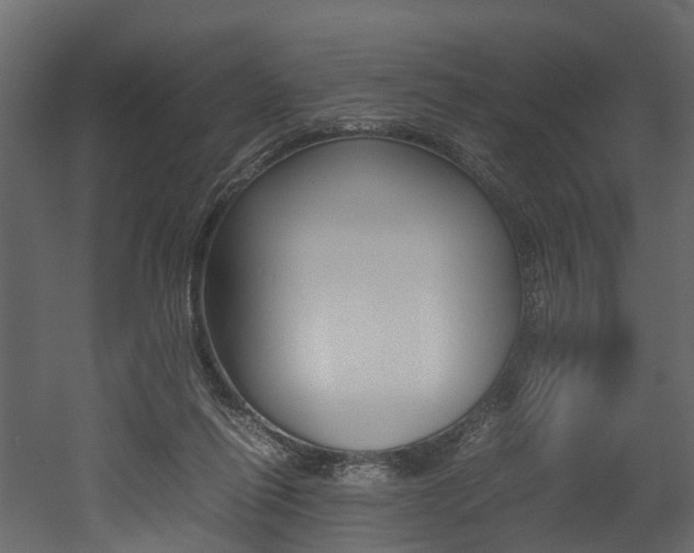 X0000052970262200507080929