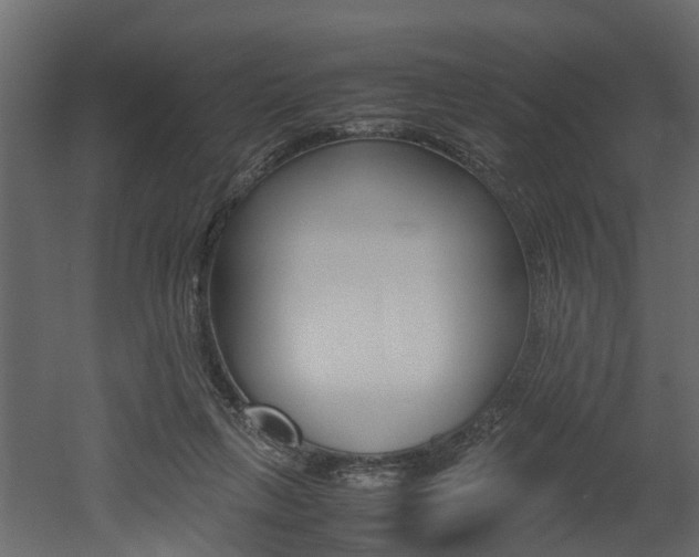 X0000052970263200507080929