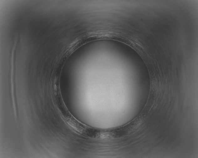 X0000052970264200507080929