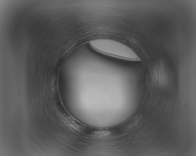 X0000052970266200507080929
