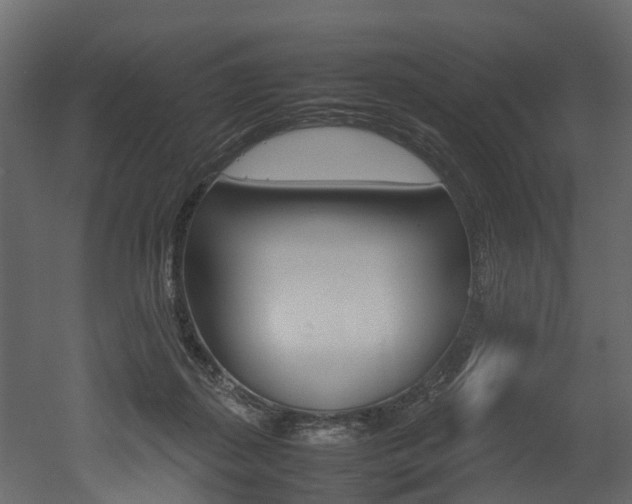 X0000052970267200507080929