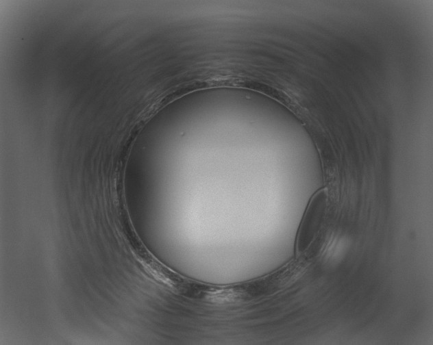 X0000052970269200507080929
