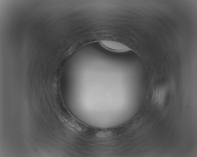 X0000052970271200507080929