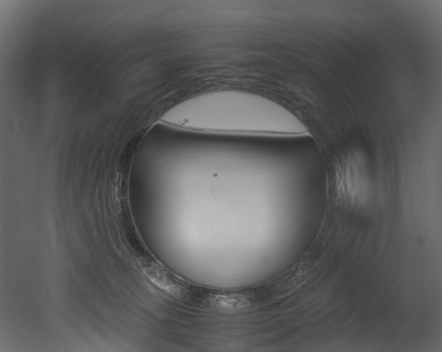 X0000052970275200507080930