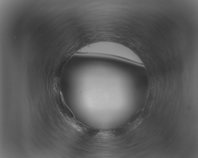 X0000052970280200507080930