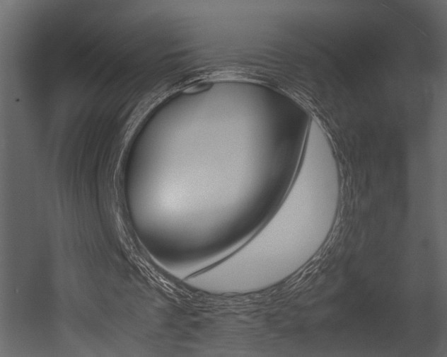 X0000052970289200507080929