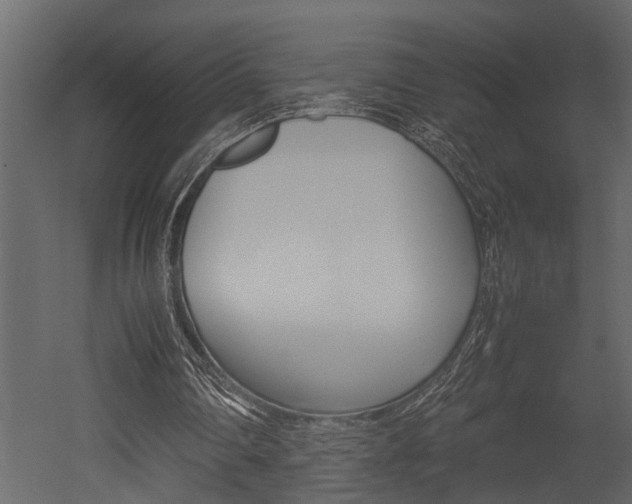 X0000052970290200507080929