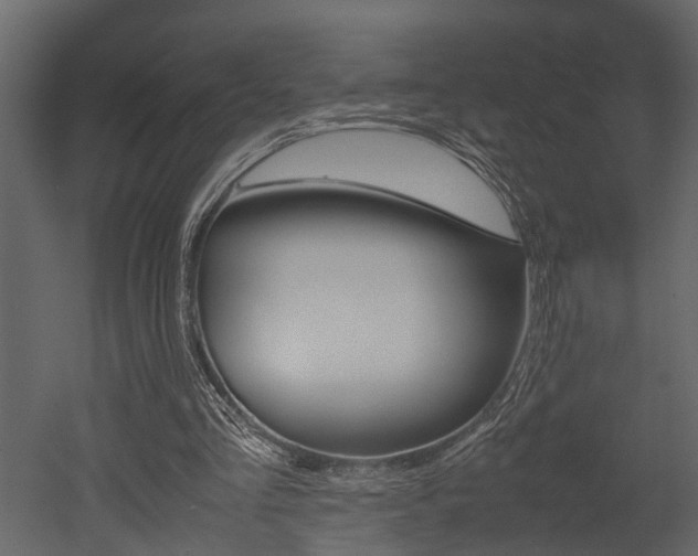 X0000052970293200507080929